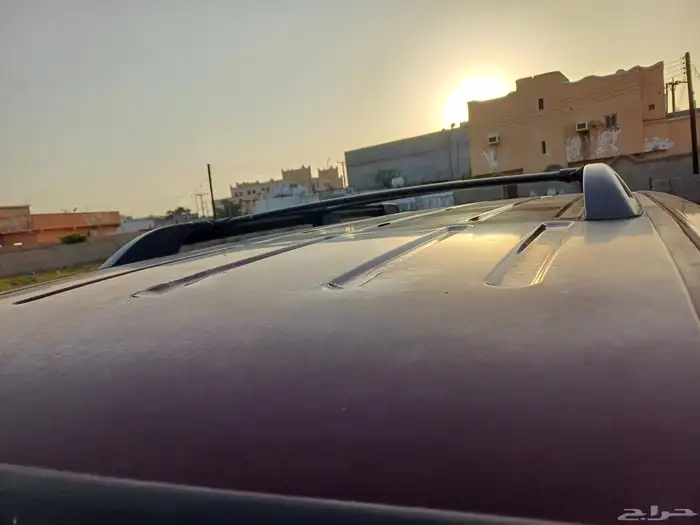 فود اكسبيدشن نظيف جدا 12