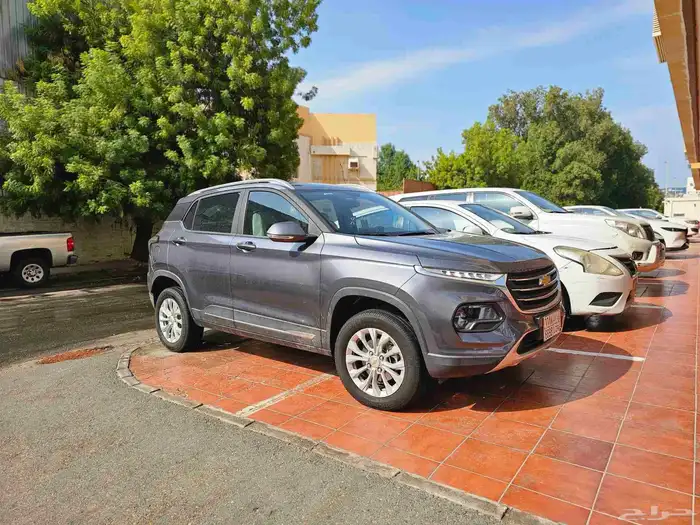 شفرليت. جروف 2025 .ص فل 1