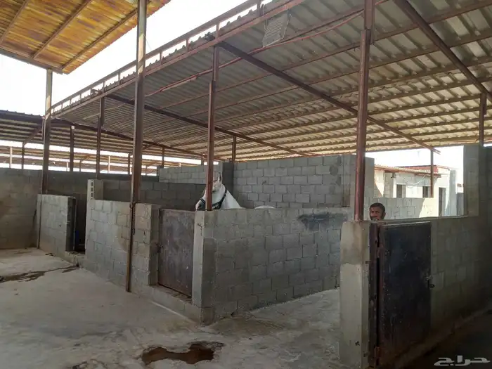 للبيع مربط   اسطبل خيل 1