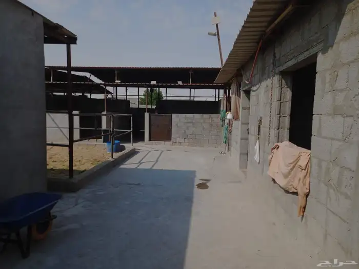 للبيع مربط   اسطبل خيل 0