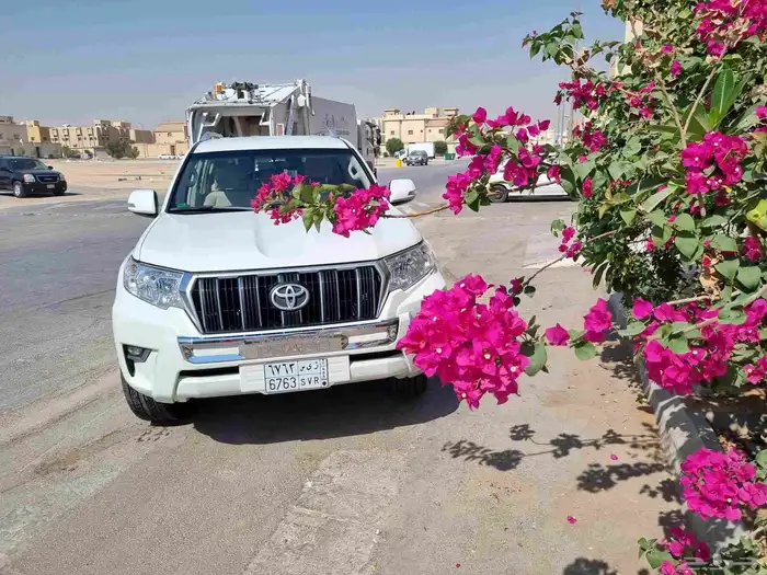 برادو 2021 ممشى 40 الف 8