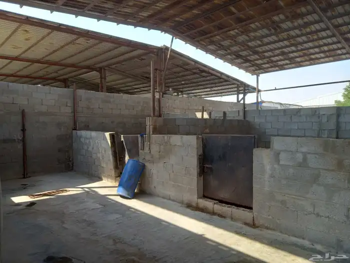 للبيع مربط   اسطبل خيل 8