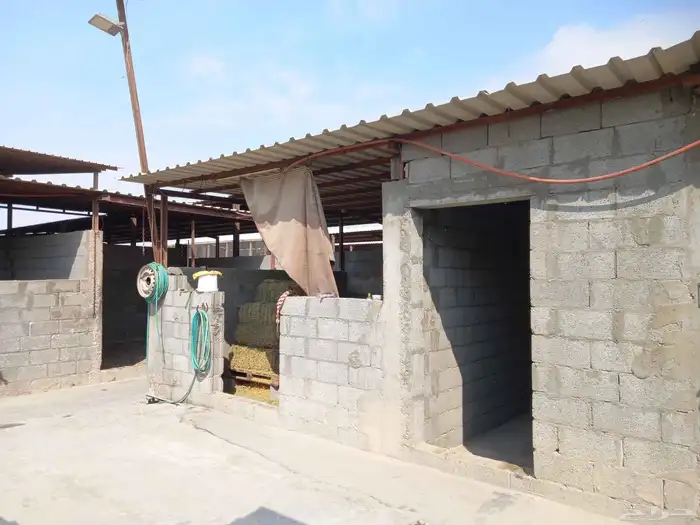 للبيع مربط   اسطبل خيل 6