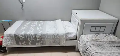 سريرين زاوية بخزين index