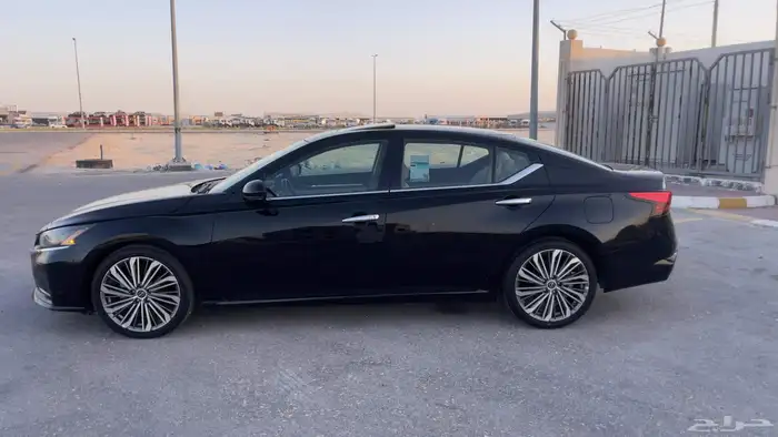 التيما فل الفل 2023 8