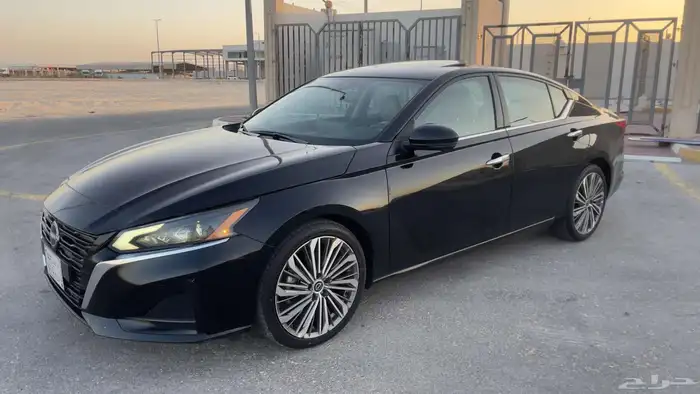 التيما فل الفل 2023 7