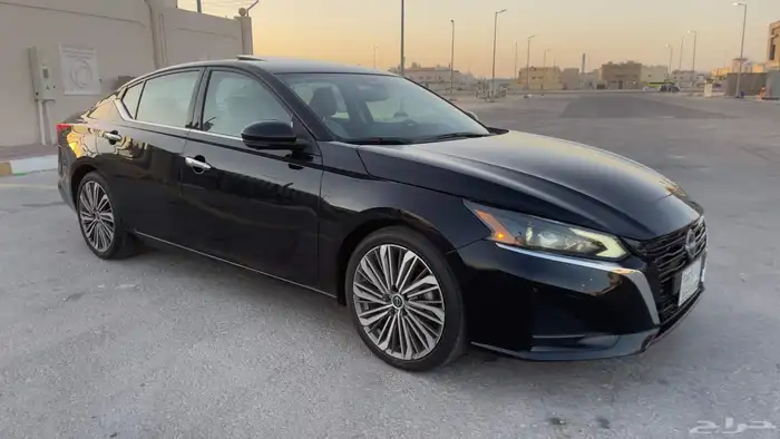 التيما فل الفل 2023 1