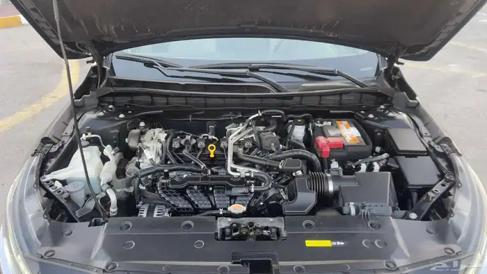 التيما فل الفل 2023 22