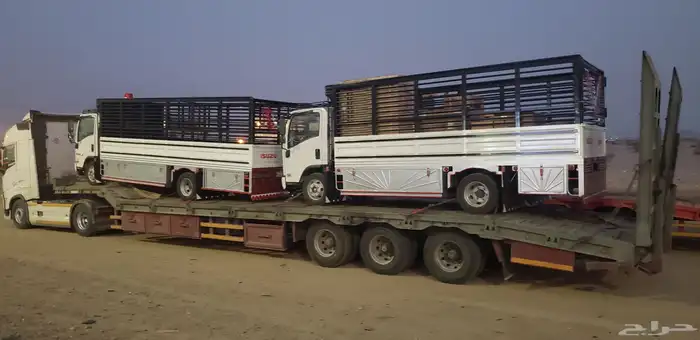 لوبد متوتجدفي ثرب مهد الذهب 0