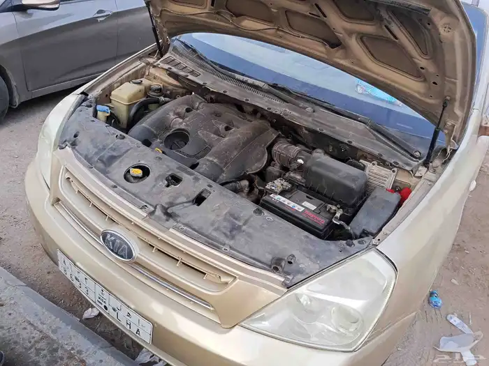 سياره كيا كرنفال 2009 السياره ماشيه 265 0