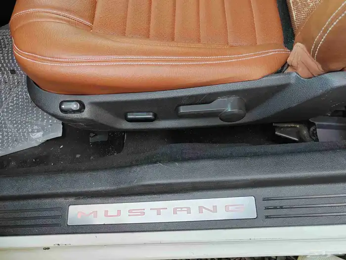 موستنج موديل 2010 8