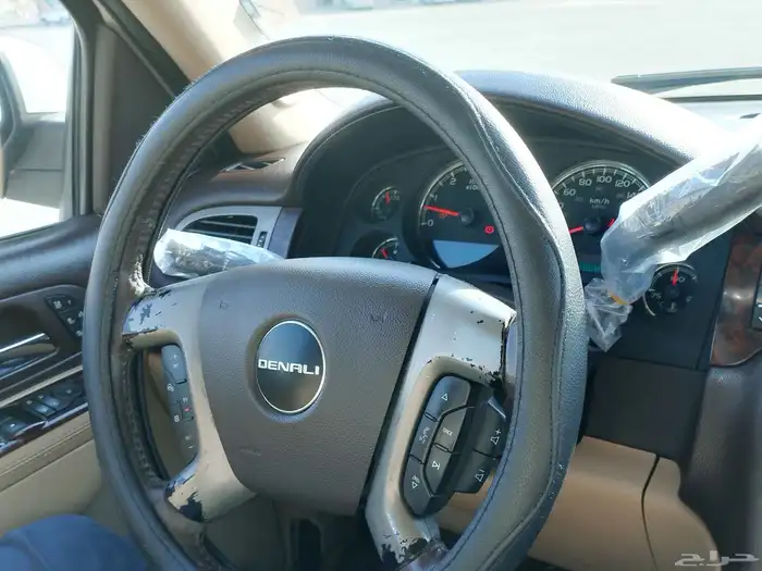 دينالي 2011 19