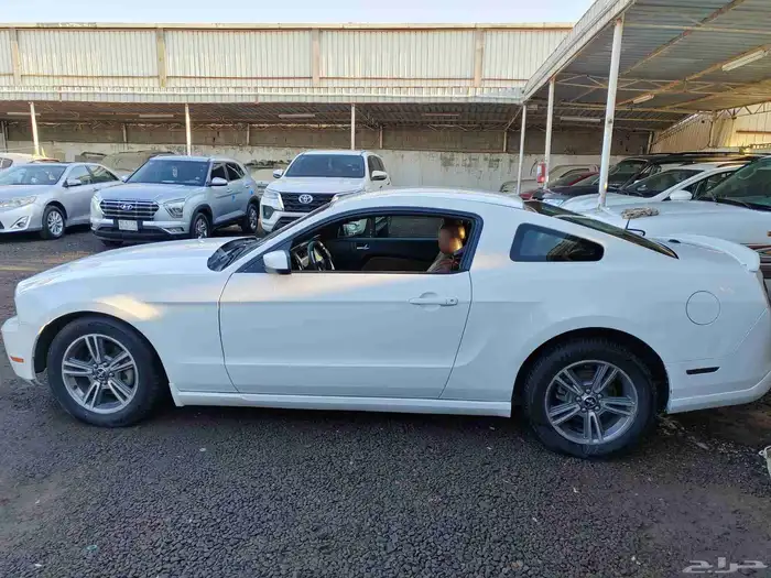 موستنج موديل 2010 7