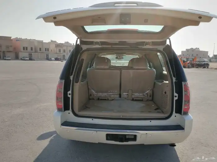 دينالي 2011 15