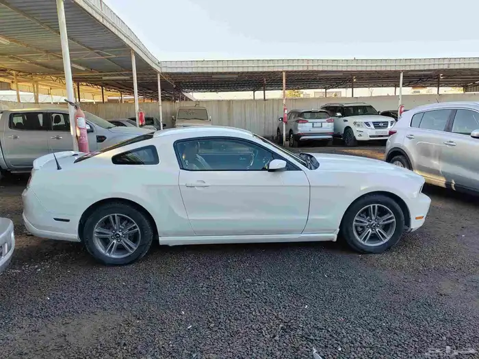 موستنج موديل 2010 6