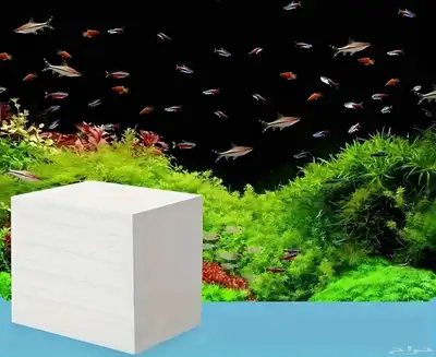 100 ورقة تصفية الماء لحوض السمك index