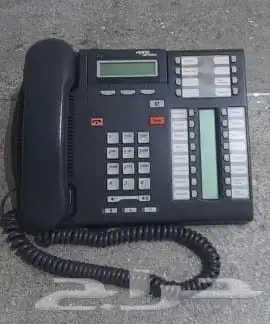 فني نورتال مريدبان افايا باناسونيك نيتسكو 3