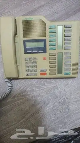 فني نورتال مريدبان افايا باناسونيك نيتسكو 4