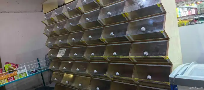 ديكور محمصه جديد 42 خانه استخدام شهر فقط 1