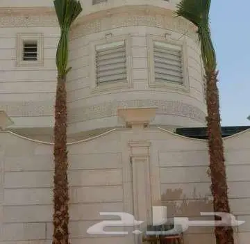 نخل وشنطني زينه 9