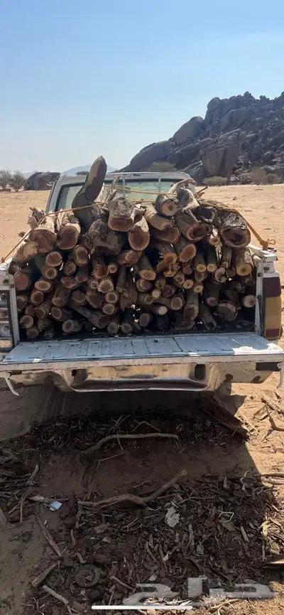 حملة خشب مقطع 0