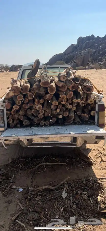 حملة خشب مقطع 0