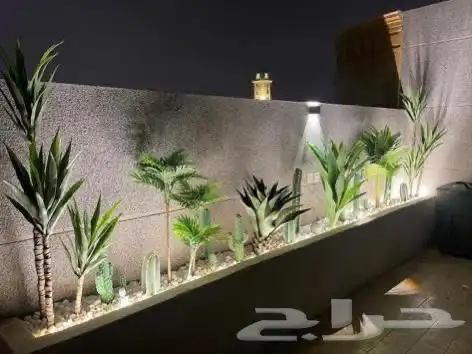 تنسيق الحدائق المنزلية شجر 9