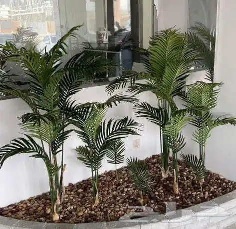 تنسيق الحدائق المنزلية شجر 5