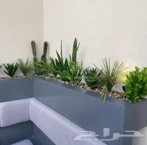 تنسيق الحدائق المنزلية شجر 8