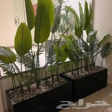 تنسيق الحدائق المنزلية شجر 4