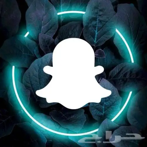 سناب بلس 3 شهور مضمون كامل المدة 5