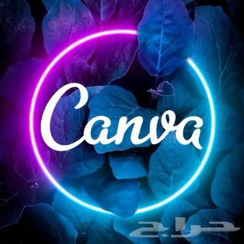 اشتراك كانفا برو مدى الحياة 7