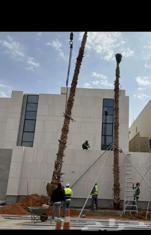 نقوم بجميع اعمال نخيل 3