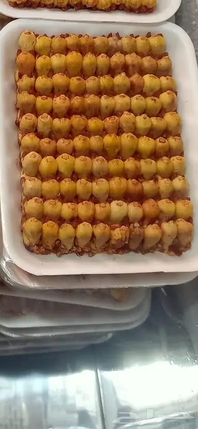 طيور دخل صيد الموسم 0