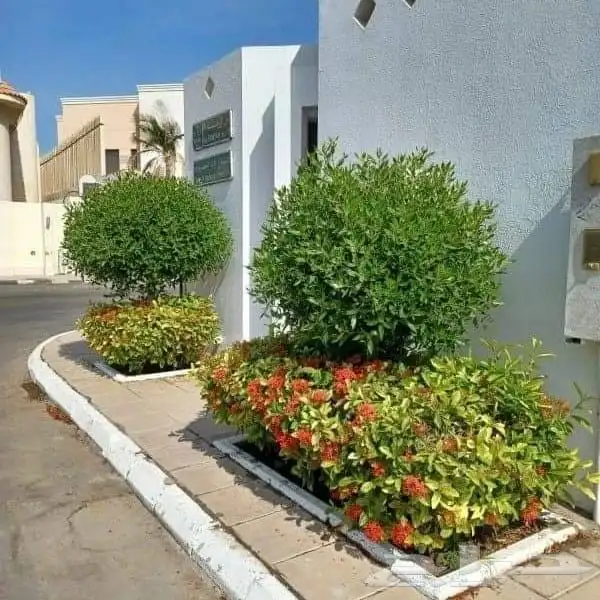 تنسيق حدائق جدة 6