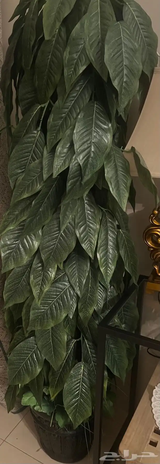 شجر صناعي كبير ب 120 ريال 1