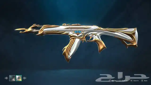 660 vp 150 radianite حساب فالورنت حسب رادينت بدل مقبول 7