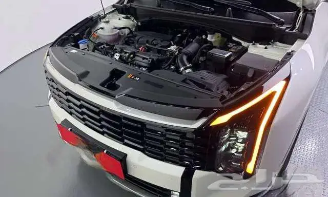 كيا - سبورتاج - 2026 11