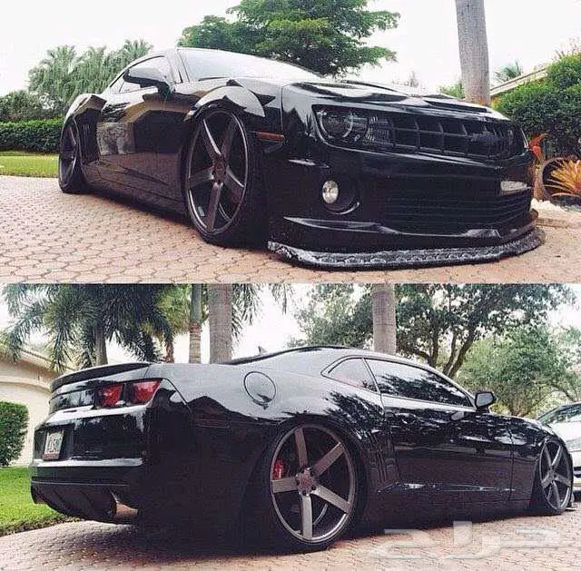 (((جنوط كومارو 2015 أصلية وكالة أو تقليد 22