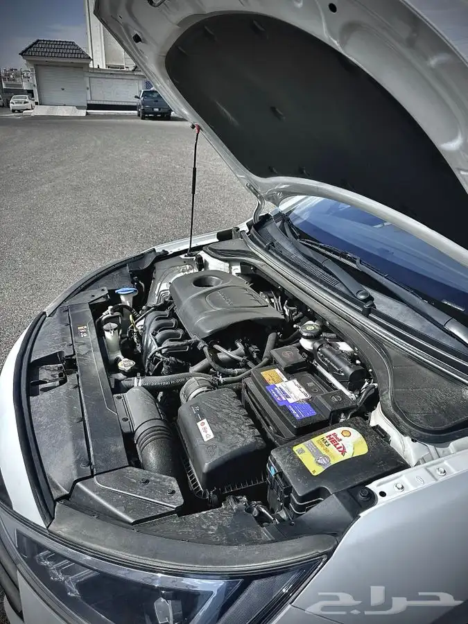 النترا 2019 12