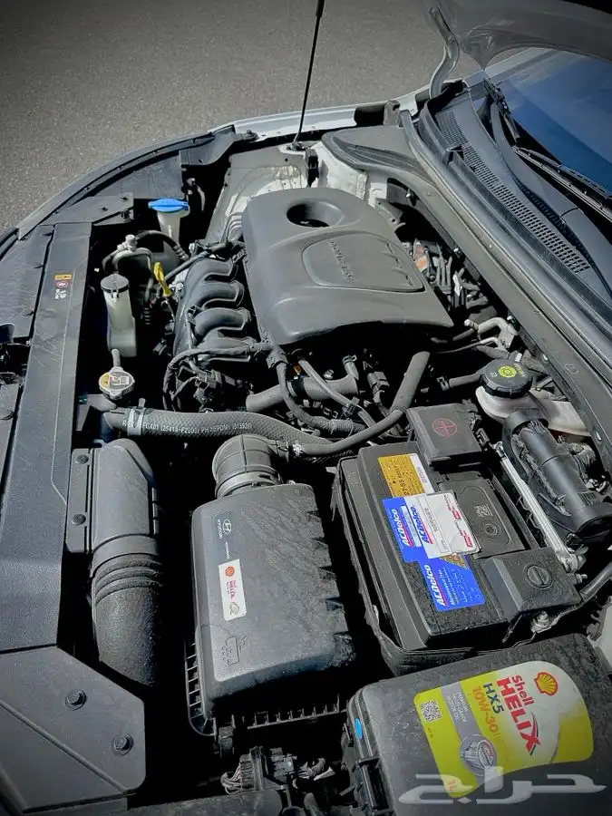 النترا 2019 13