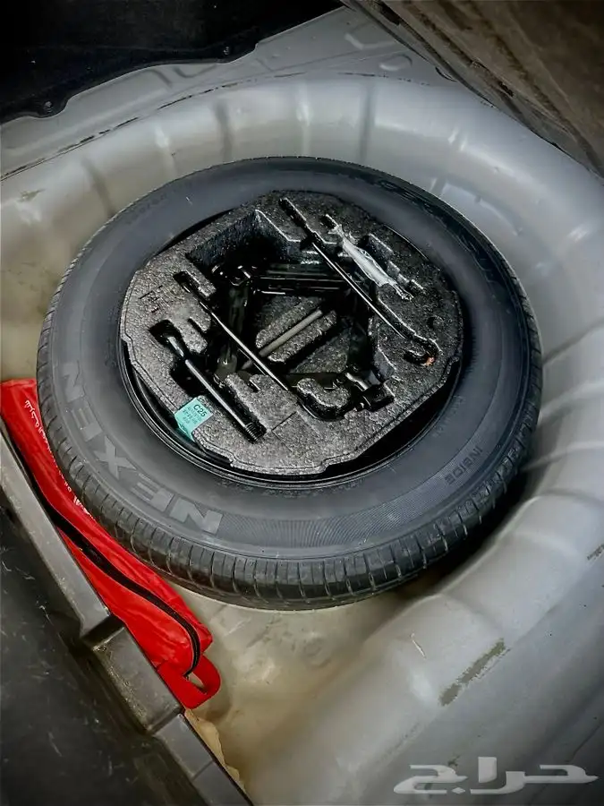 النترا 2019 10