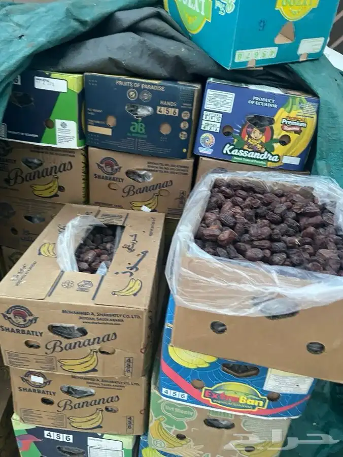 تمر خضري للبيع 2