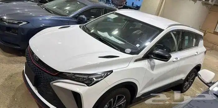 جيلي كولراي ستاندر 2025 4