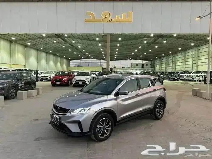 جيلي كولراي 2023 0