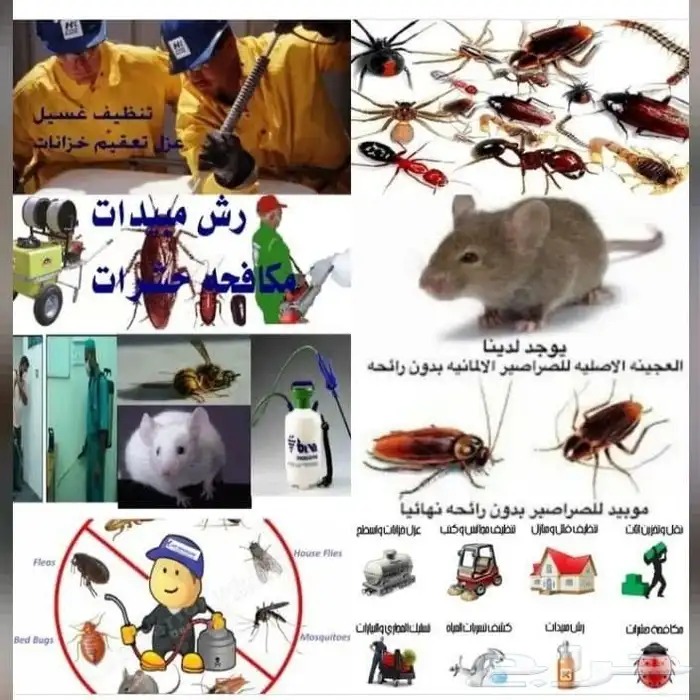 شركه تنظيف بجازان 4