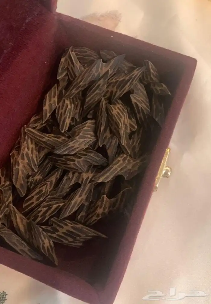 عروض الجمعة البيضاء 4