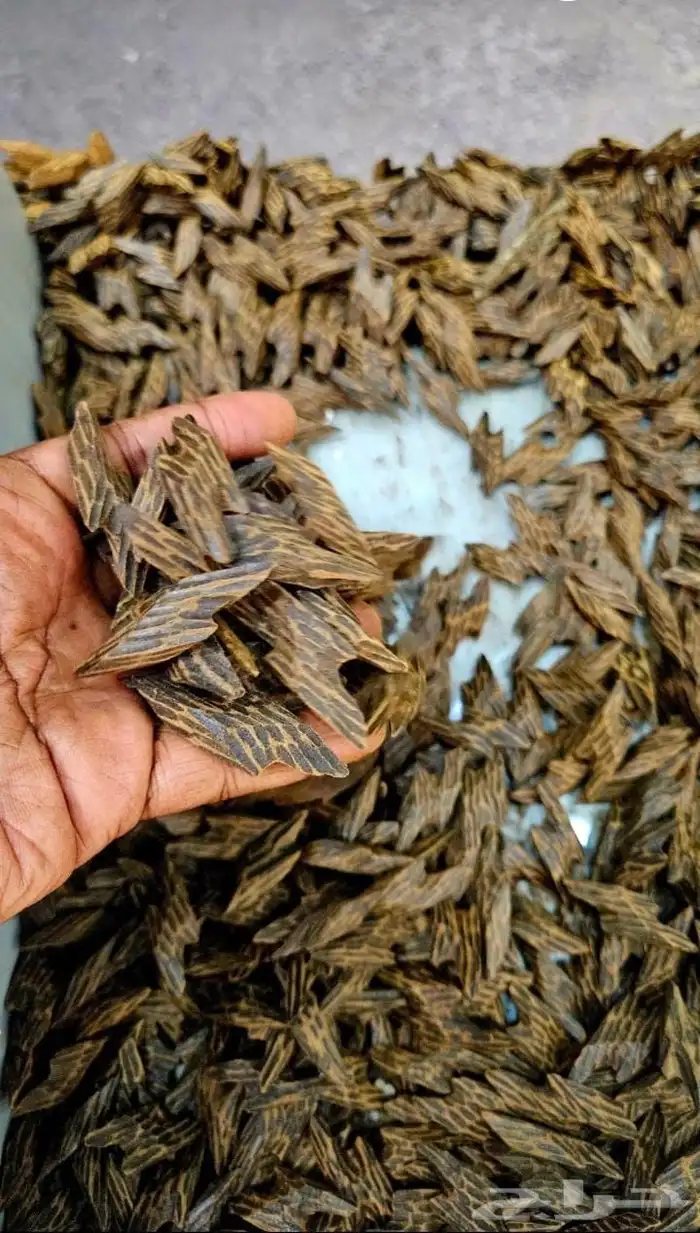 عروض الجمعة البيضاء 2