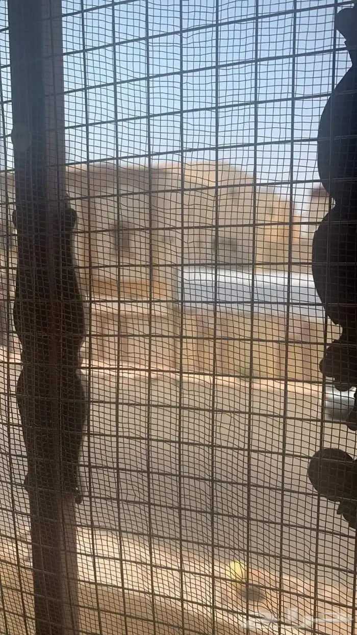 اغطتية مكيفات فايبر جلاس خارجية 9