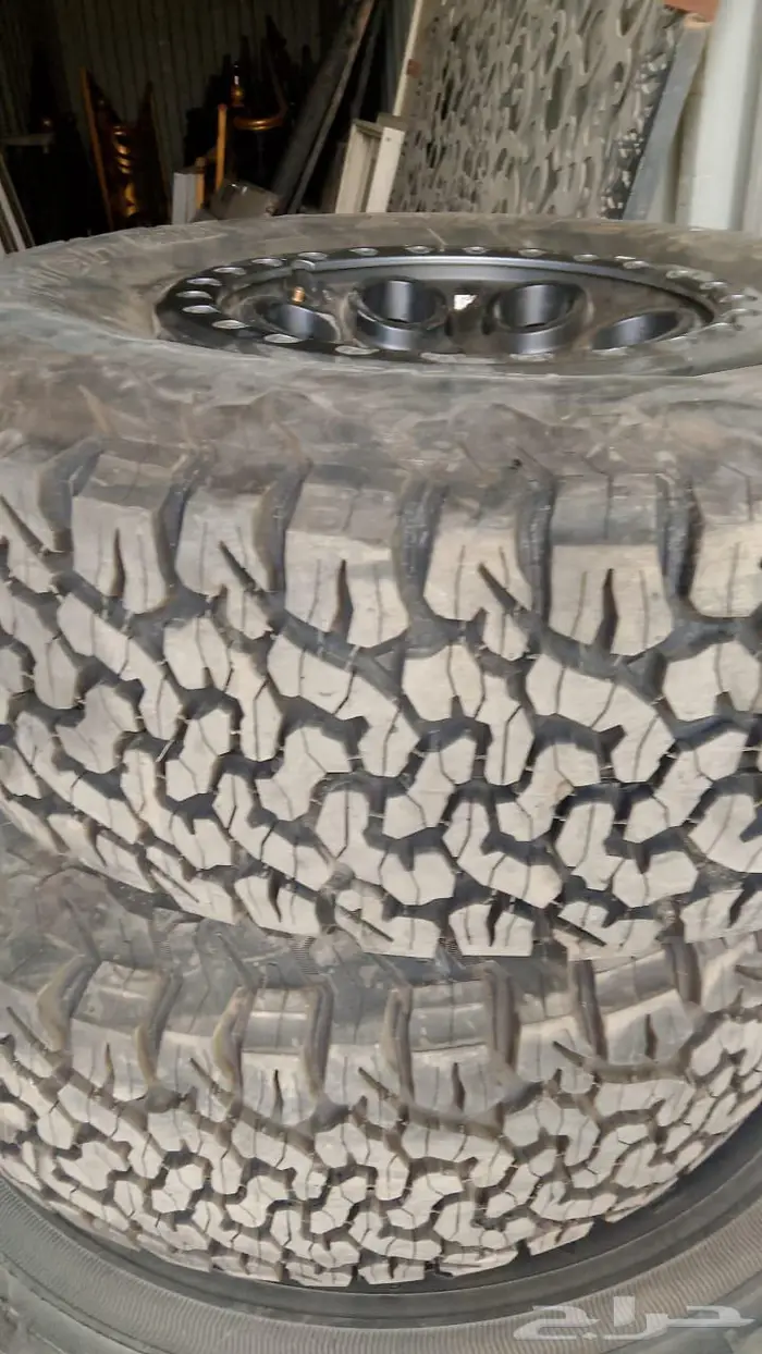 جنوط رابتر 1